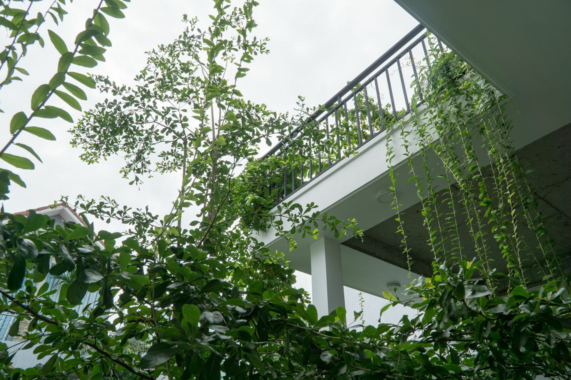 Kiu House - 3Br - Green & Artistic Da Nang Eksteriør bilde