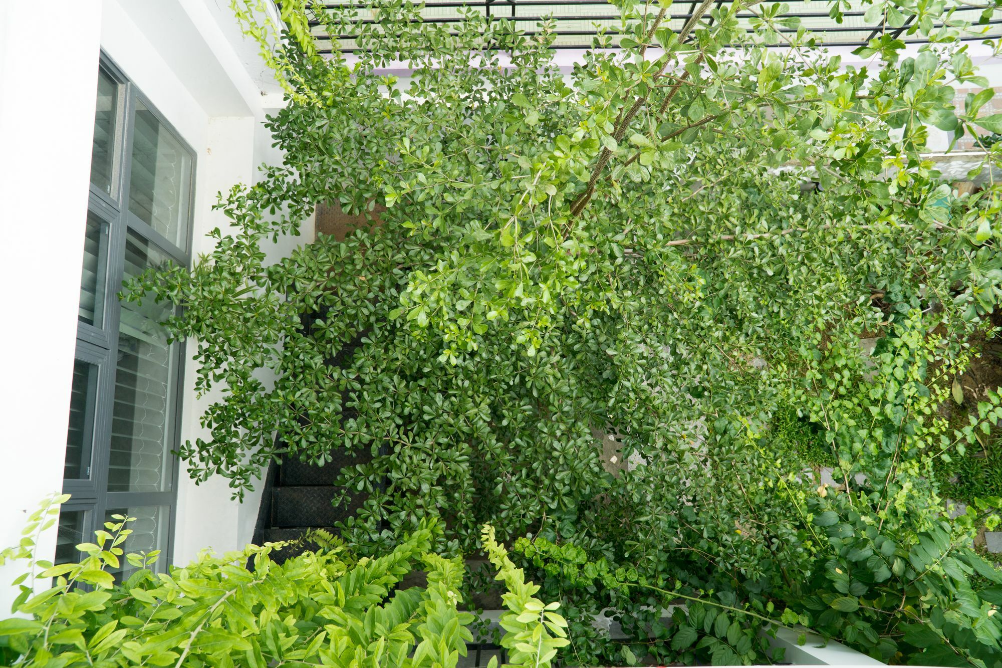 Kiu House - 3Br - Green & Artistic Da Nang Eksteriør bilde